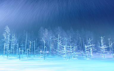 winter landscape with snow Blue Pond  Aoiike  Hokkaido  - obrazy, fototapety, plakaty
