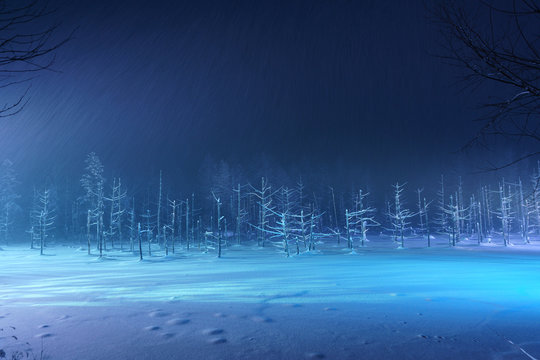 Biei Blue Pond Aoi Ike Hokkaido Japan