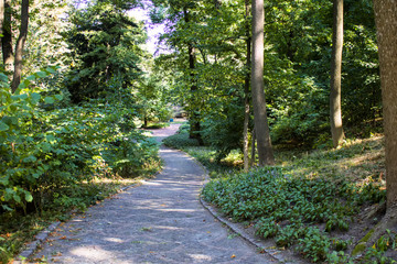 Autumn path in the park a sofiyevka.