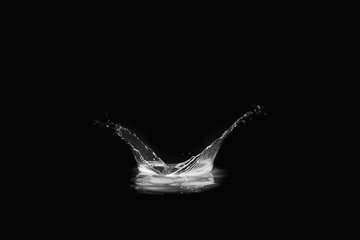 Water Splash Isolated on Black Background