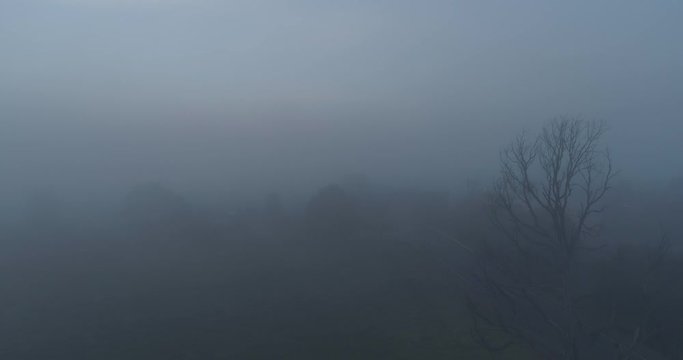 Footage of a quiet, eerie country road on a misty morning near Melbourne, Australia