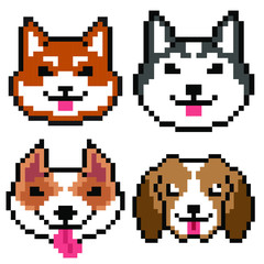 Fototapeta premium Set vector pixel art dogs isolated on white background, Shiba Siberian American pitbull terrier and Beagle dogs.