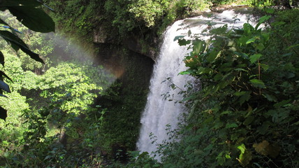 Waterfall in rainforrest