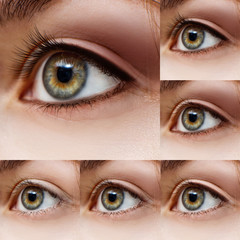 Collage of female eyes with makeup steps.