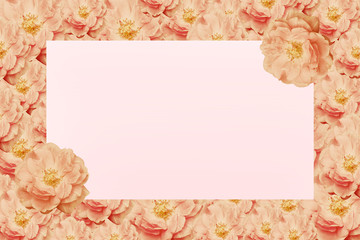 Card sweet pink rose for flowers background