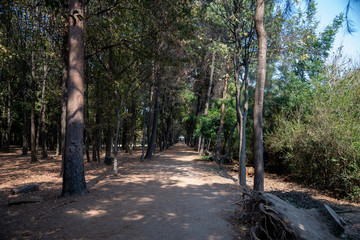 paisaje