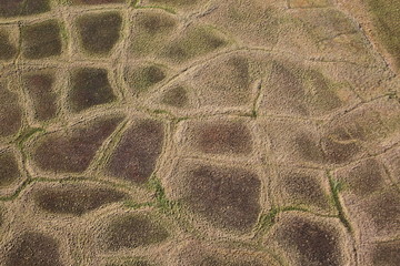 Polygonal tundra landscape in summer, Taymyr peninsula, aerial view