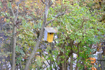 Verlassener Nistkasten im Garten