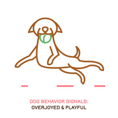 Dog Behavior Icon