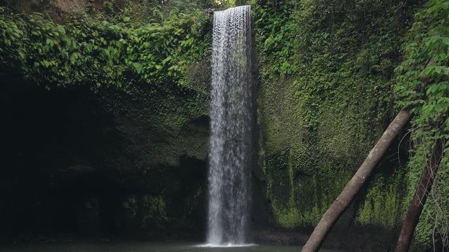 Wild forest waterfall in Bali