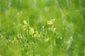 watercolor colorful illustration