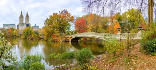 Light filtering roller blinds Central Park New York City Central Park fall autumn foliage Bow Bridge