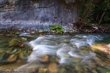 The Radika River in Mavrovo National Park, Macedonia