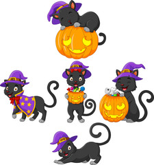 Black Cat collection with pumpkin