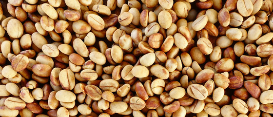  Close up of coffee beans for background   