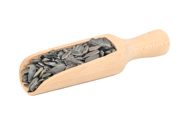 Sunflower seeds in scoop