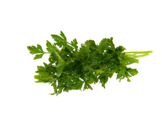 green parsley isolated on white background