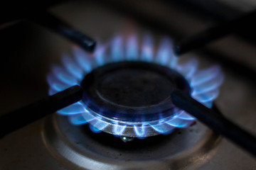 gas burner on the gas stove