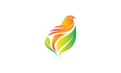 eco bird logo, wings leaf and bird vector