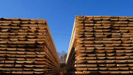 Wood timber in the sawmill. Piles of wooden boards in the sawmill. 