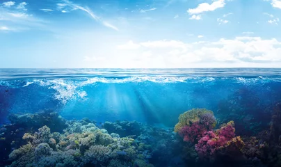 Tuinposter achtergrond van prachtig koraalrif met hier bezochte tropische zeevissen © HoangAnh