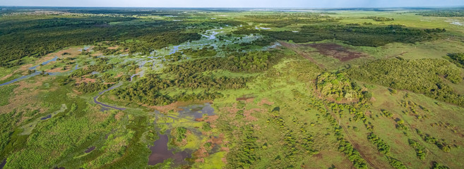 Aerial shot of typical Pantanal Wetlands landscape with cattle grazing around lagoons, forests,...