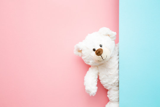 Smiling white teddy bear looking behind pastel blue wall. Mock up for happy, positive idea. Empty place for inspiration, emotional, sentimental text, quote or sayings on pink background. Front view.