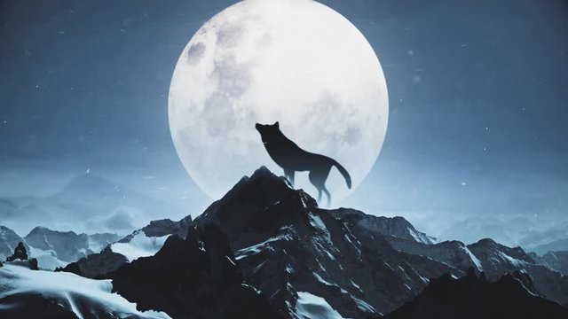Wolf Howling At The Moon Snowing Winter On Top Of Mountain