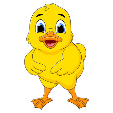 Cute baby duck  standing and smile on white background