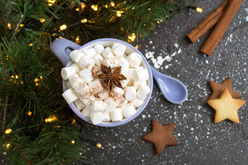 Obraz na płótnie Canvas Christmas cocoa with marshmallows and homemade cookies.