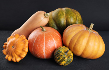 Pumpkin, butternut squash, green pumpkin, decorative pumpkin, pattypan squash on a dark background.