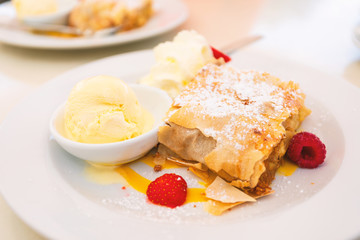Real Viennese apple strudel in a cafe in Vienna, Austria