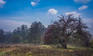 Obraz premium Sunrise on river