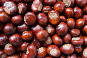 Background made from brown chestnut seeds