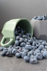 Blueberries scattering from a cup. Fresh berries on gray background. Selective focus.