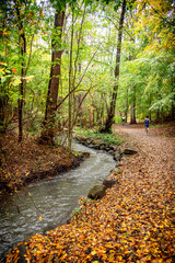 Helsingborg Jordbodalen Woodlands Jogging Path