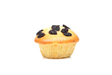 Muffin with raisins on top isolated on white background