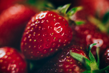 Fresh Strawberries