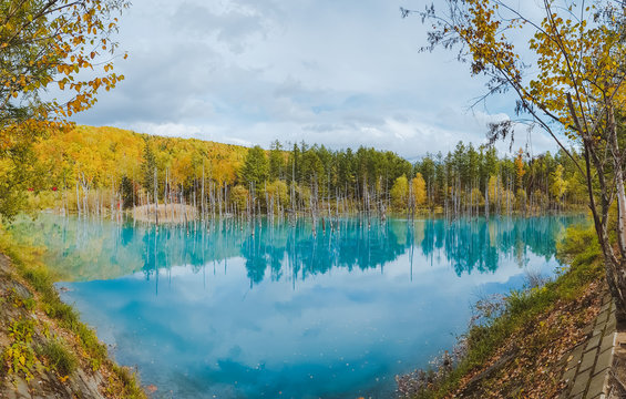 The Panoramic Shirogane Blue Pond in Biei, Hokkaido, Japan