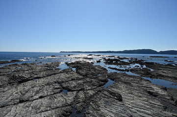 cape siono in late summer