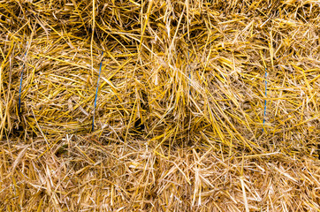 close up shot of straw bale