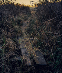 Sunrise on river