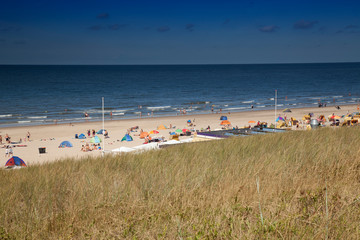 Dune landscape on the beach of Egmond,North sea , Holland, Netherlands