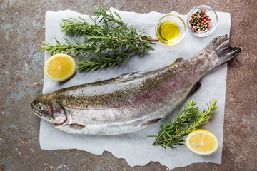 Raw trout fish on paper with rosemary and lemon on a stone table, top view