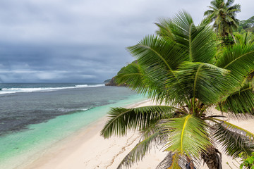 Palm trees on ocean beach with dramatic sky in tropical island, Seychelles.
