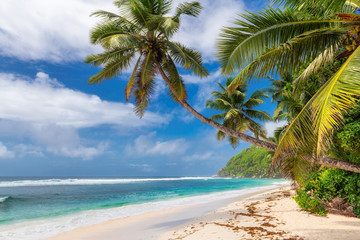 Obraz na płótnie Canvas Beautiful tropical beach with palms and turquoise sea in Jamaica island. 