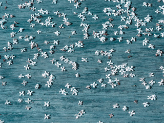 Osmanthus-scented flower