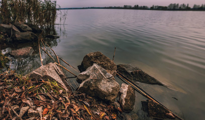 Fading nature in autumn plants