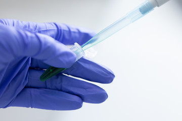 Polymerase Chain Reaction (PCR) and Agarose gel electrophoresis is a method of gel electrophoresis used in biochemistry, molecular biology, genetics, and clinical chemistry in lab.