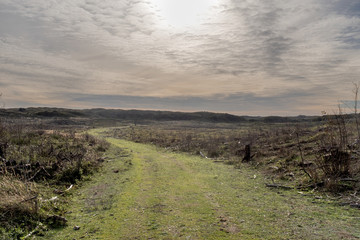 Winding path through a bare and deserted landscape